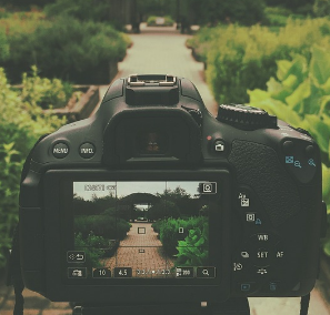 The display screen on the camera